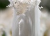 Tulipa White Shark ® (3)